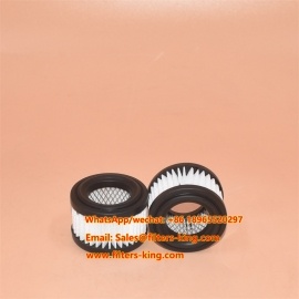 WY21319 Air Filter