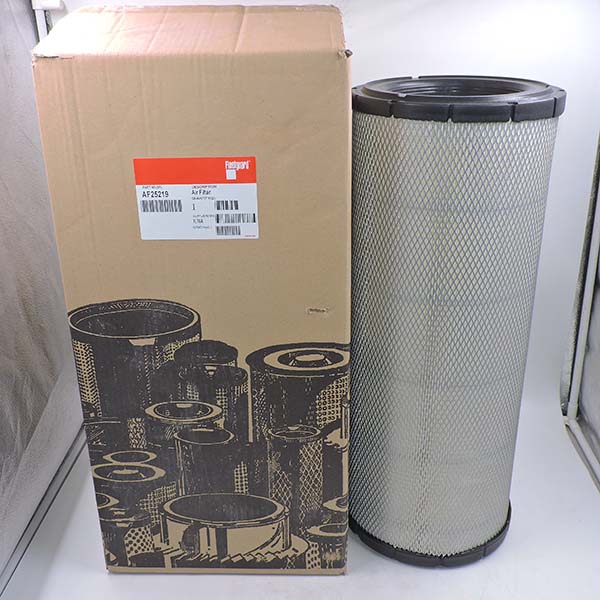 Air Filter AF25219