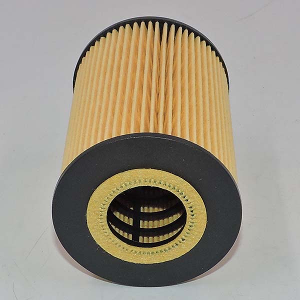 Oil Filter 15209-2DB0A 