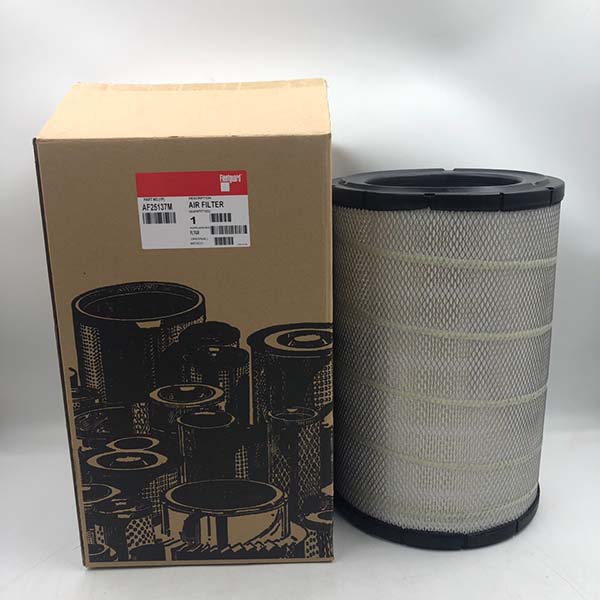 Air Filter AF25137M