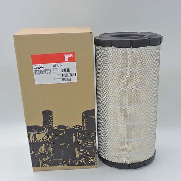 Air Filter AF25492