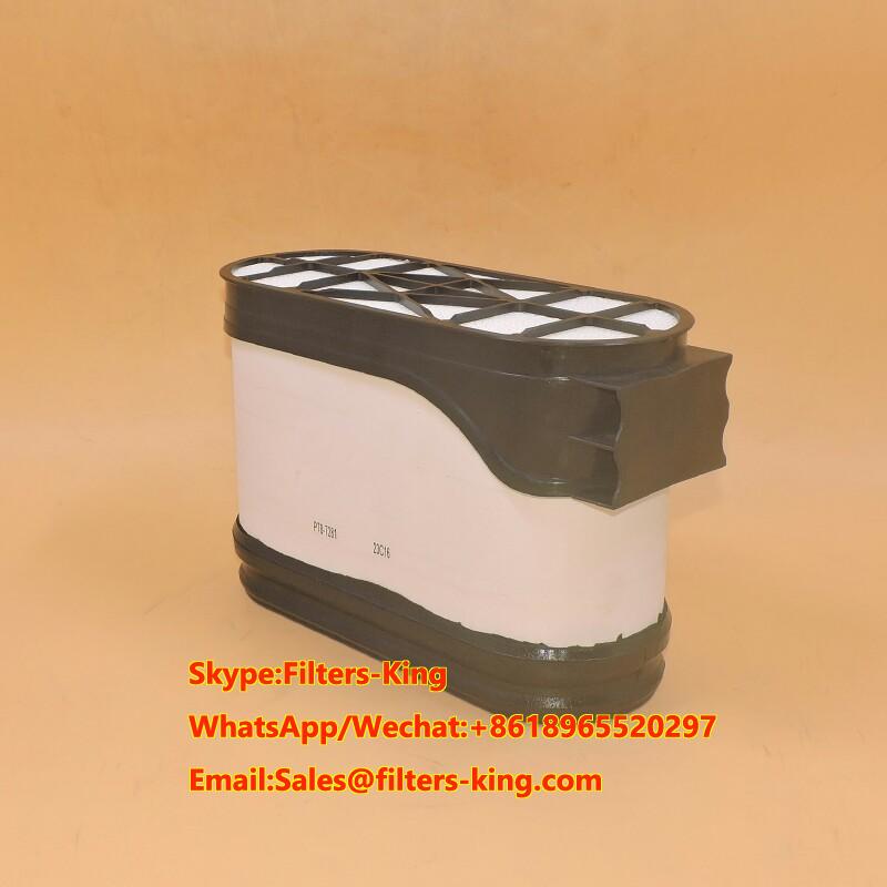 PowerCore Air Filter P787281