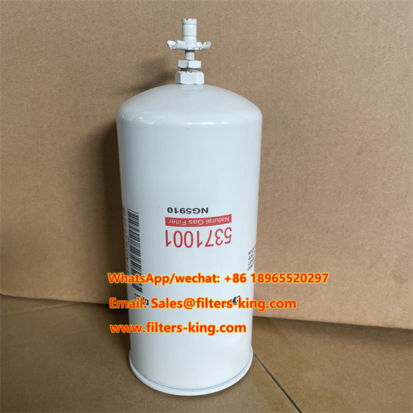 NG5910 Natural Gas Filter 5371001 SG1069