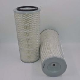 Air Filter Fleetguard AF1811