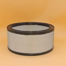 air filter P524369