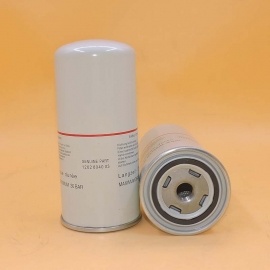 oil filter 1202804003