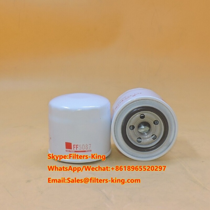 Fleetguard Fuel Filter FF5087 P550048 119000-55600 ME006066,filter ...