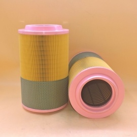 Air Filter 100006374