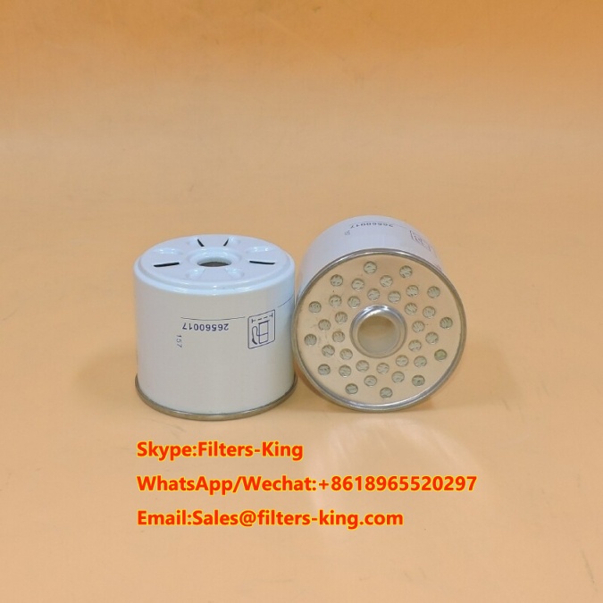 Fuel Filter 26560017 BF825 P917X L269F P556245,filter Suppliers And Manufacturers