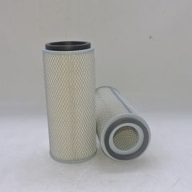 Air Filter P140131