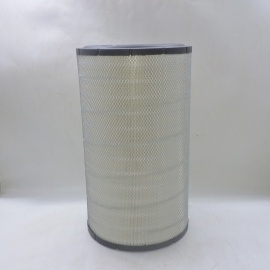 Air Filter P781098