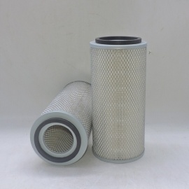 Air Filter P500929