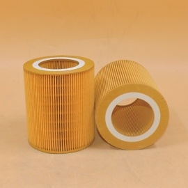 Air Filter C1250