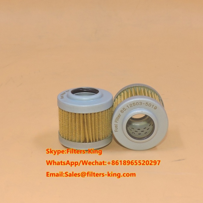 Doosan Daewoo Fuel Filter 65.125035019 SN25190,filter Suppliers And