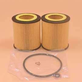 Oil Filter P969