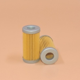 Fuel Filter FF5599