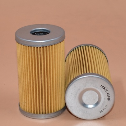 Fuel Filter 1A001-43160 PF717 P502161 129100-55650 6682493 