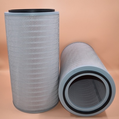 AF25062 Fleetguard Air Filter 