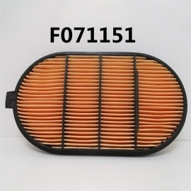F071151 Air Filter