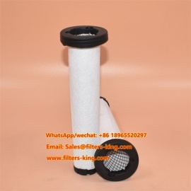 AF26166 Air Filter