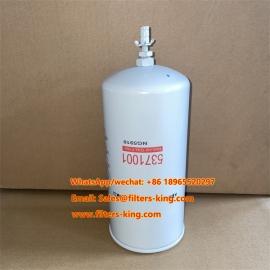 NG5910 Natural Gas Filter