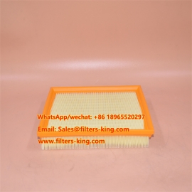 Air Filter C25135