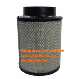 Genuine Air Filter 21496510