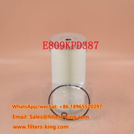 E809KPD387 Fuel Filter