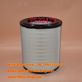 P532473 Air Filter