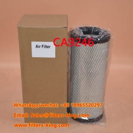 CA9246 Air Filter