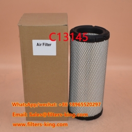 C13145 Air Filter