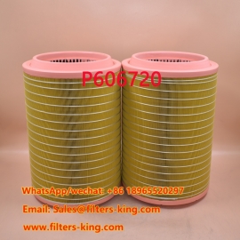 P606720 Air Filter