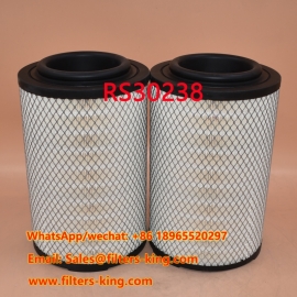 RS30238 Air Filter