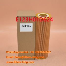 E123H01D624 Oil Filter