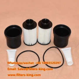 R490 Truck Urea Filter Kit