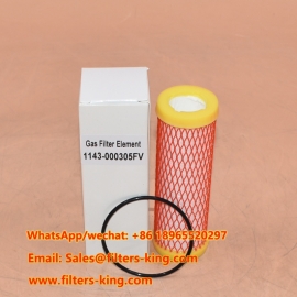 Gas Filter Element