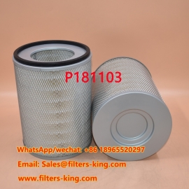 P181103 Air Filter