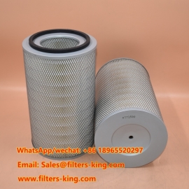 P771508 Air Filter