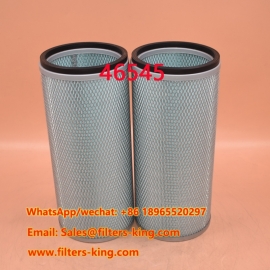 Air Filter 46545
