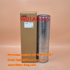 Hydraulic Filter W01AG315