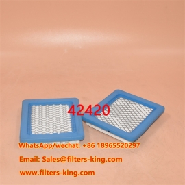 Air Filter 42420
