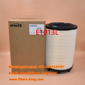 E1013L Air Filter