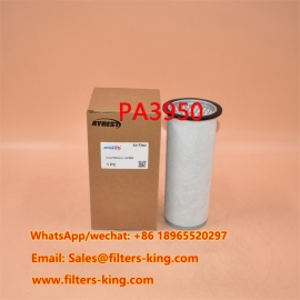 PA3950 Air Filter