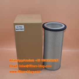 8037883 Air Filter
