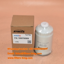 1000700909 Fuel Filter