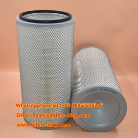 Air Filter P115070