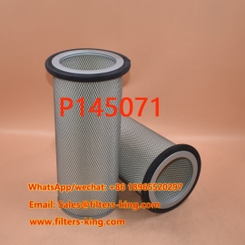 P145071 Air Filter