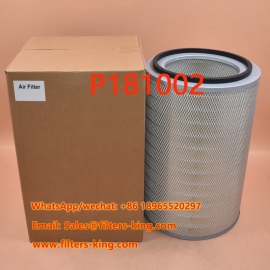 Air Filter P181002