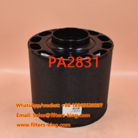 PA2831 Air Filter
