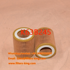 Air Filter K63B245